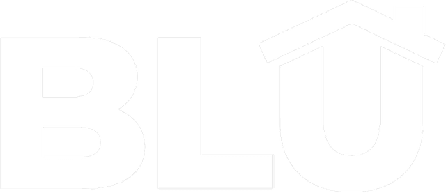 BLU logo